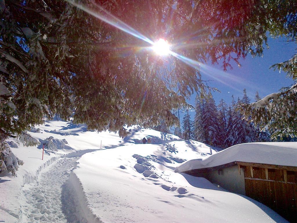 Bergbach Ramsau bei Berchtesgaden Exterior foto